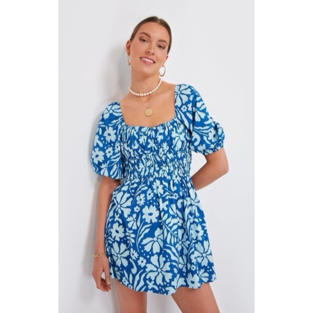 NWT Faithful The Brand Marinelli Organic Cotton Dress in Blue Sidra Floral Print